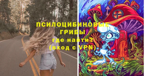 PSILOCYBIN Алексин