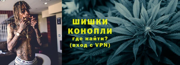PSILOCYBIN Алексин